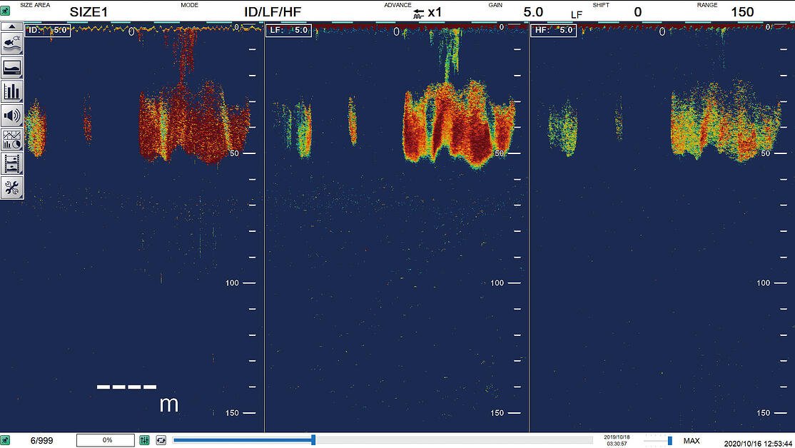 FSS-3BB_Herring_histogramOFF