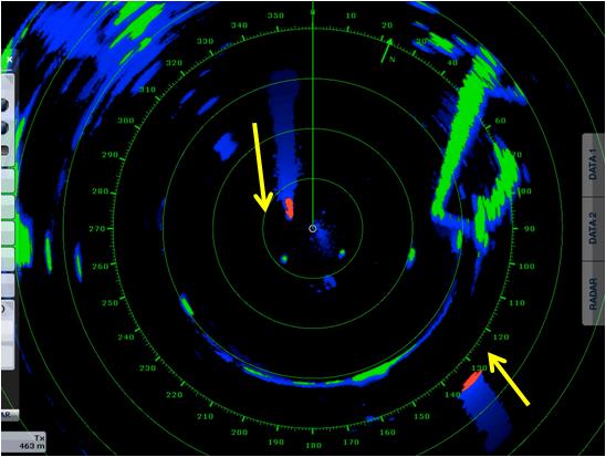 Target Analyzer and Echo Trails