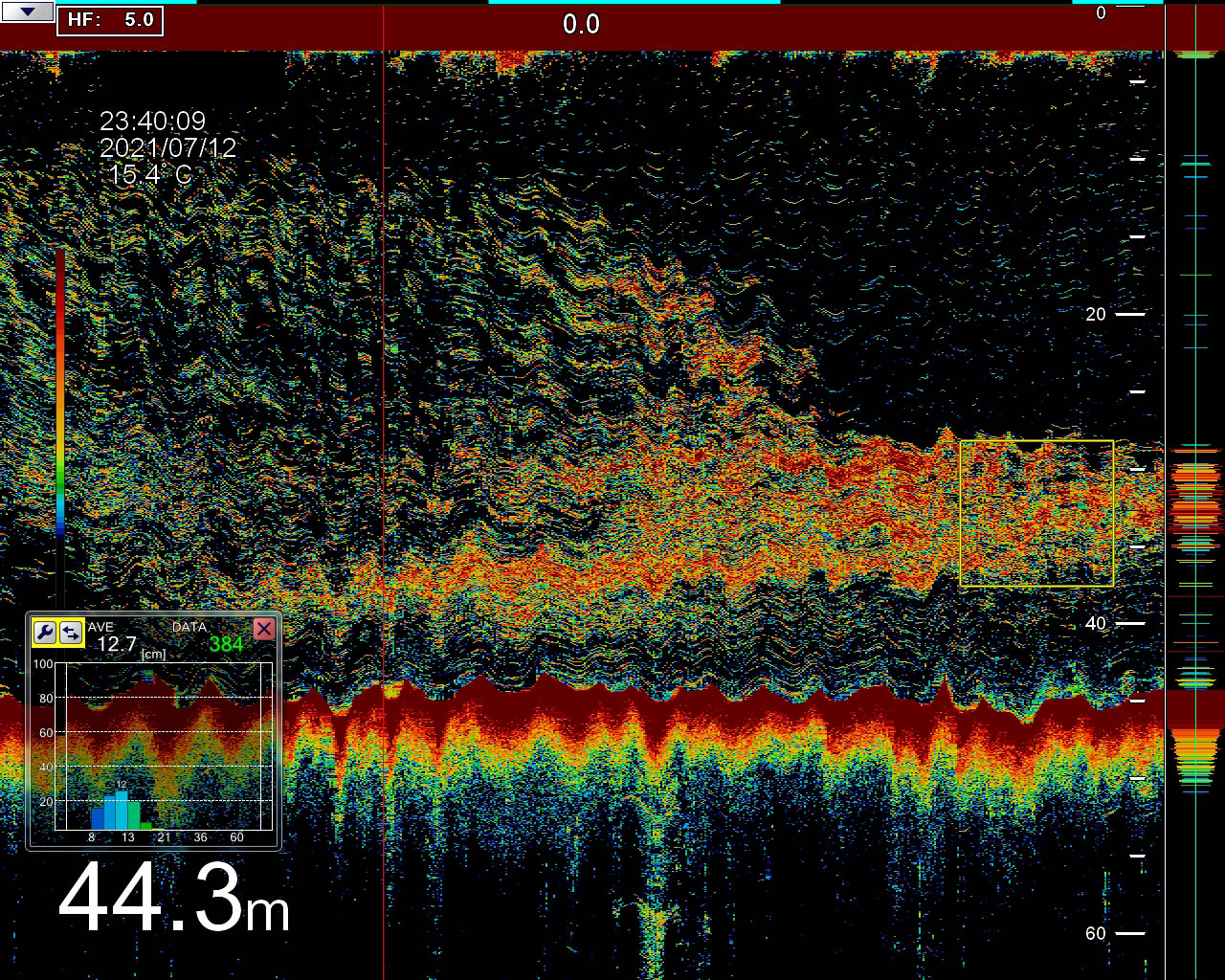 FSS-3BB_DETECTION_SARDINES_06