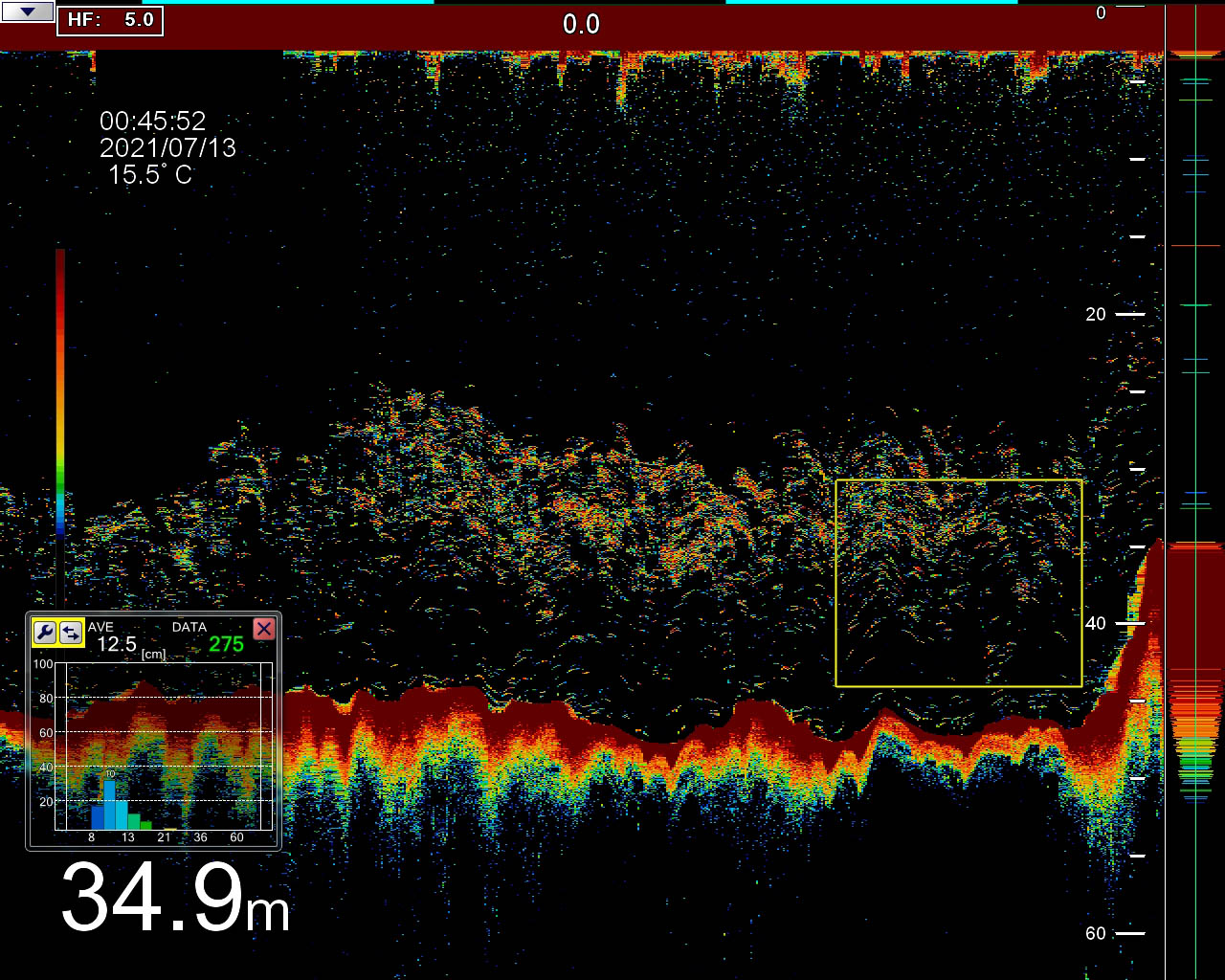 FSS-3BB_DETECTION_SARDINES_09