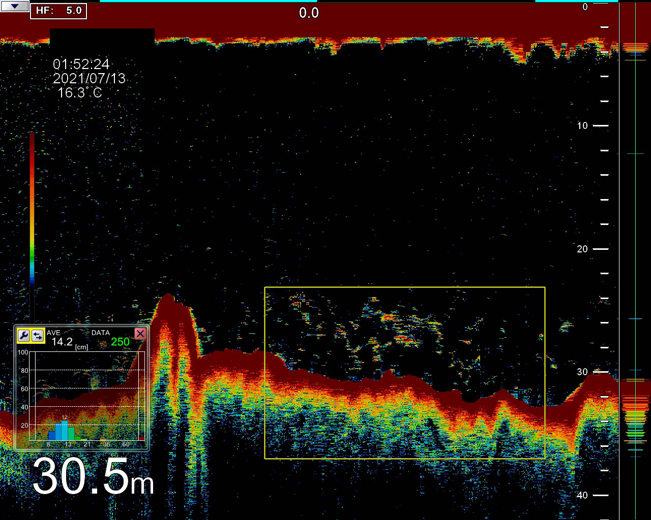 FSS-3BB_DETECTION_SARDINES_10